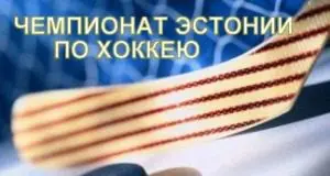 Хоккей: в регулярном чемпионате осталось одна игра