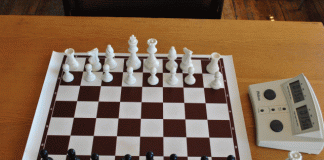 Шахматы: Андрияшкин и Тимошин набрали по два очка в пяти турах