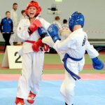 sek8845