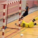 sek (18)