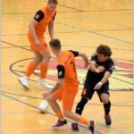 sek (19)