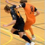 sek (36)